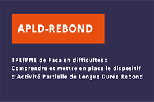 Le 16 décembre 2025 "Webinaire TPE / PME : 45 min pour comprendre le dispositif APLD-R et ses conditions de mise en place par la négociation d'un accord d'entreprise.